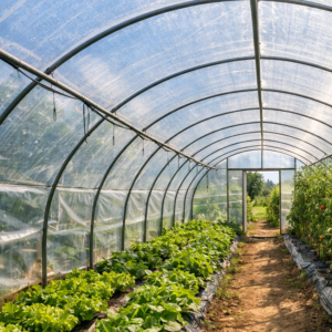 GREENHOUSE FILM