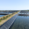 Geomembrane Film